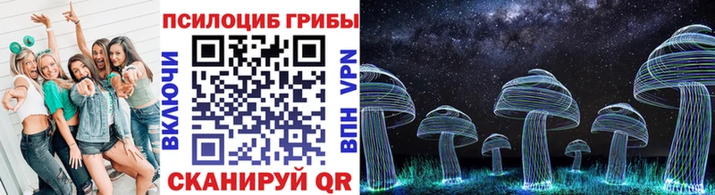 Купить закладки  Томмот  Галлюциногенные грибы GOLDEN TEACHER 